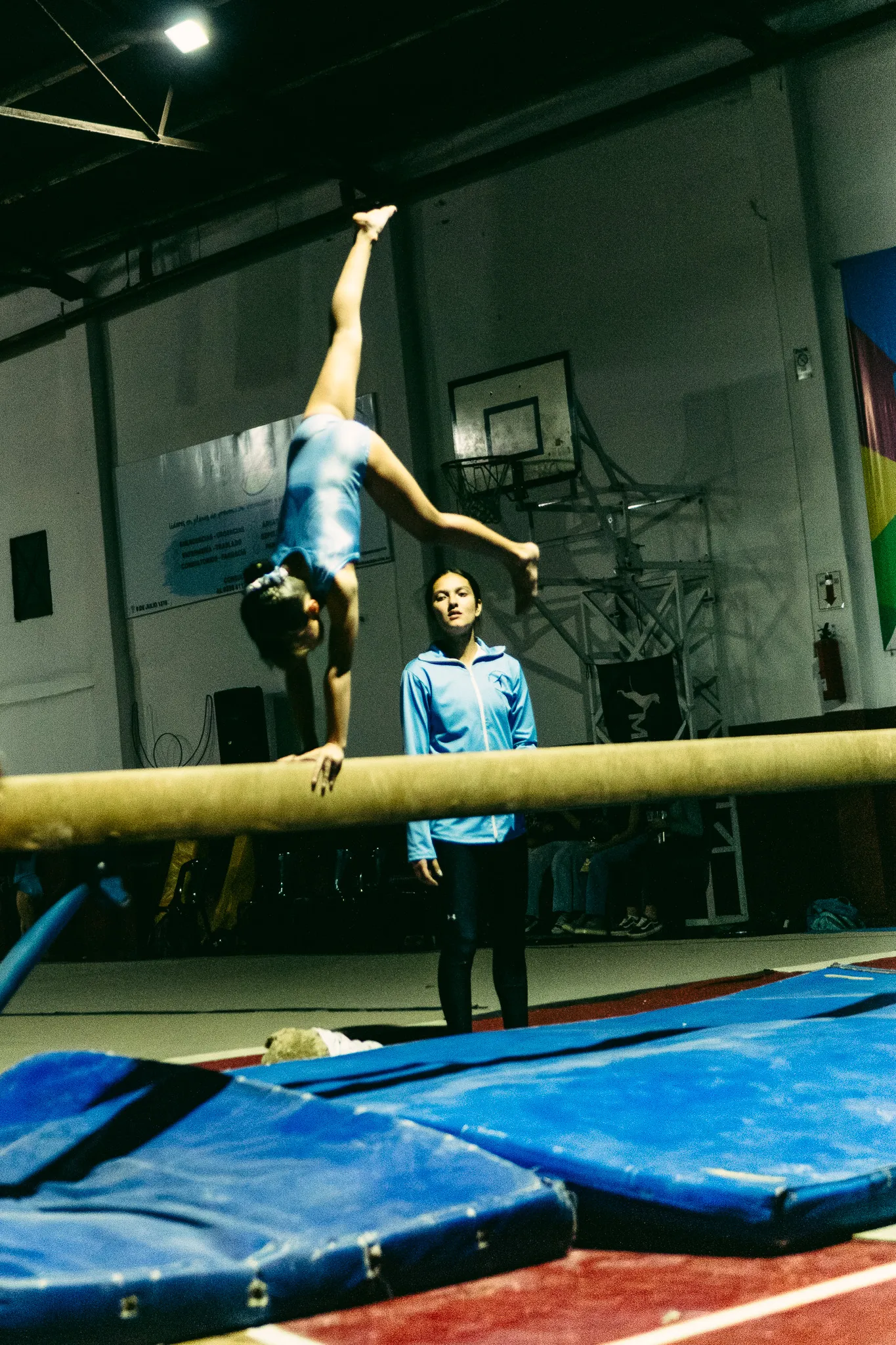 DSC02225-Enhanced-NR